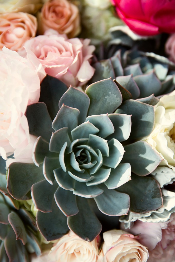 beach wedding in santa monica photo