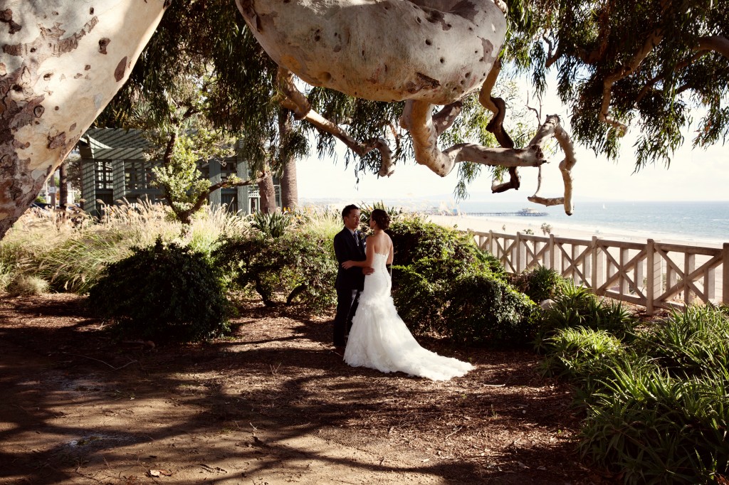 beach wedding in santa monica photo