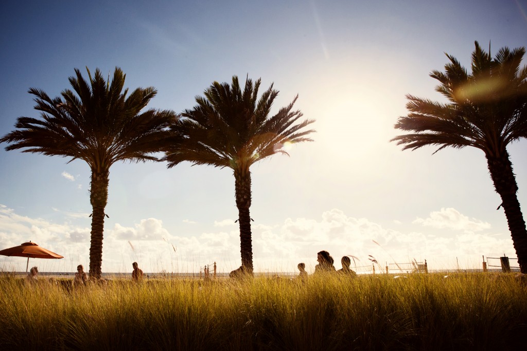 beach wedding in santa monica photo